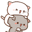 610_kedi_hop