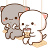 610_kedi2