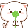 610_kedi4