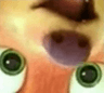 TFRo2