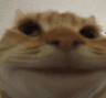 Pls_Respond