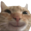 heeeey