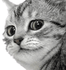 Concern