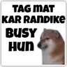 tag_mat_kr_r_ndike