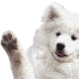 awaveBOYE