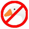 NoFiz