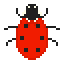 ladybug