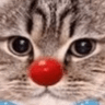 clown_cat
