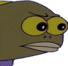 ayo_what