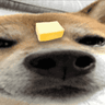 Butter_Dawg