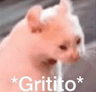 AL_girito