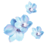 LC_blue_flowers