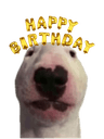 walter_happy_birthday
