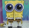 spongemeh