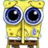 spongesad