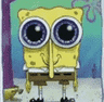 spongehappy
