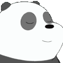 pandawink