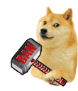 a_doge_ban