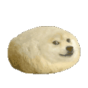 a_doge_poyo