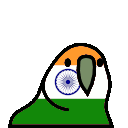 a_Parrot_India