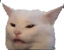 cica_cuki