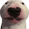 walter