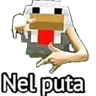 nelputa