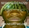 Niggamelon