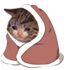 catsadblanket