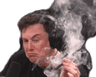 elon