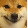 BLK_DogeWutWhy