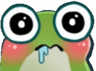 slsu_frogdrool