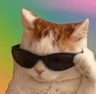 SwagCat