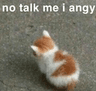 no_talk_me_i_angry