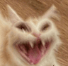 blurryhypercat