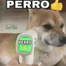 PERRO