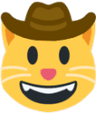 Cowboy_Cat