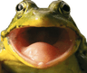 FrogPog