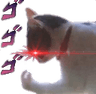 catto_dio