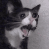 ScreamCryCat