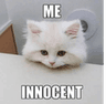 ME_INNOCENT