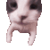 catKiss