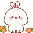 BunnyCarrots