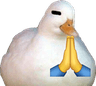 prayingduck