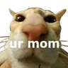 ac_urmom