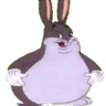 UDUbigchungus