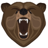 bear