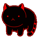 Cat_spin