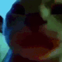 gatonarave