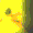 catjump4